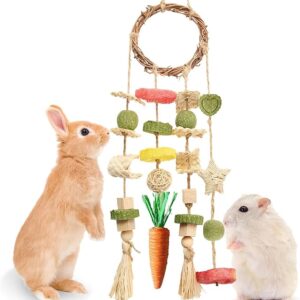 Rabbit Chew Toys – Hanging Cage Toy with Treat-Filled Rattan Ring for Bunnies and Small Rodents – Promotes Dental Health
