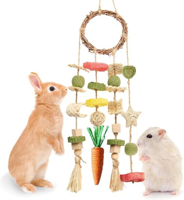 Rabbit Chew Toys – Hanging Cage Toy with Treat-Filled Rattan Ring for Bunnies and Small Rodents – Promotes Dental Health